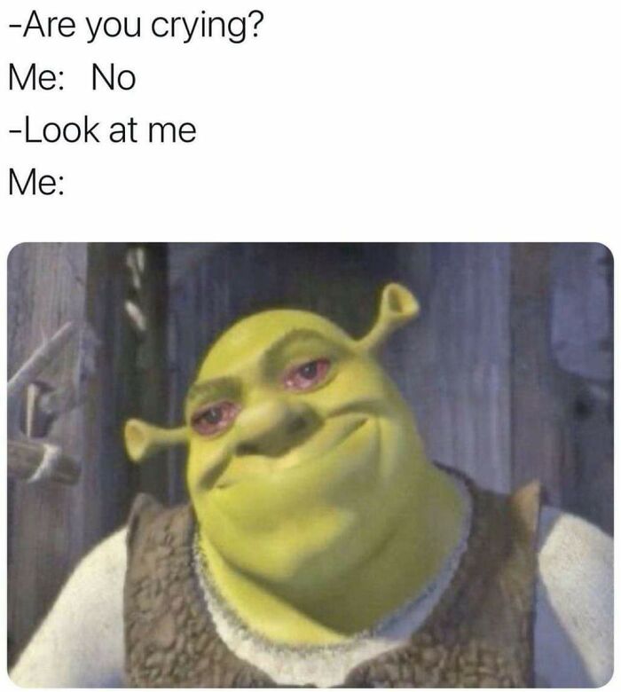 74 Funny Memes That Hit You Right In The “Too Real” Part Of The Brain