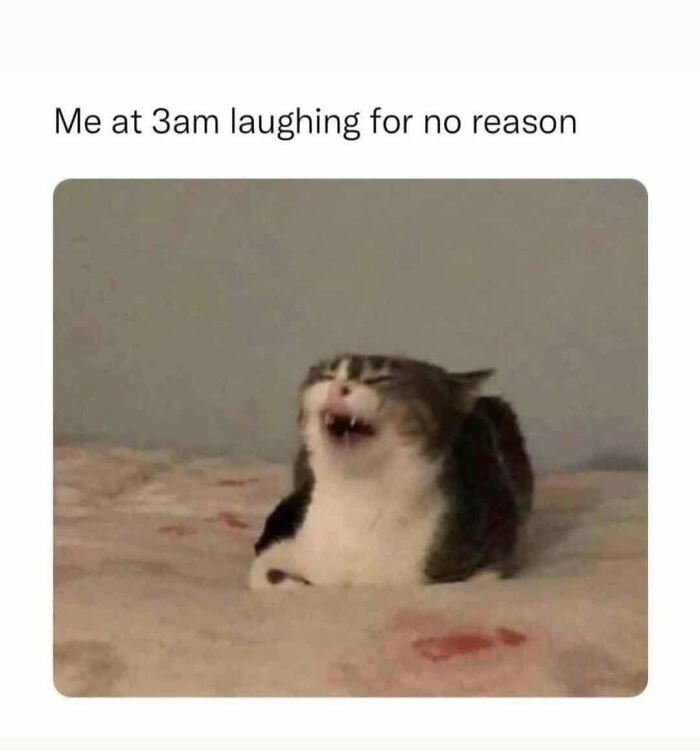 74 Funny Memes That Hit You Right In The “Too Real” Part Of The Brain