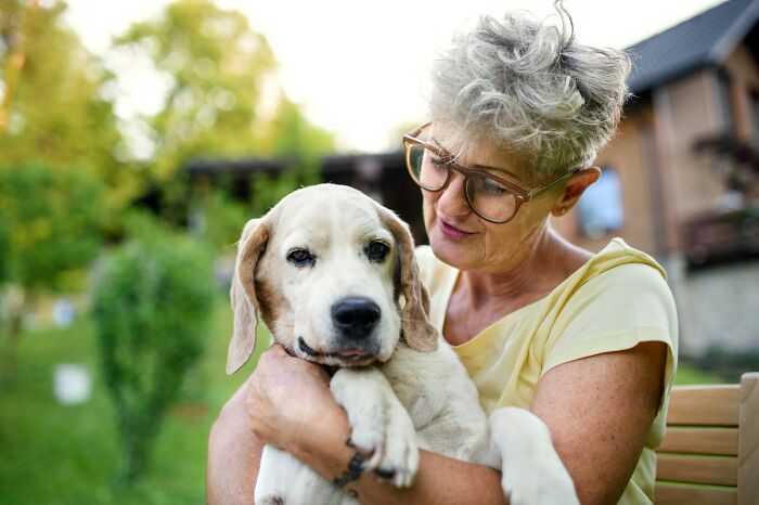 The Internet Loves Dogs, But Here Are 38 Downsides Of Having One As A Pet