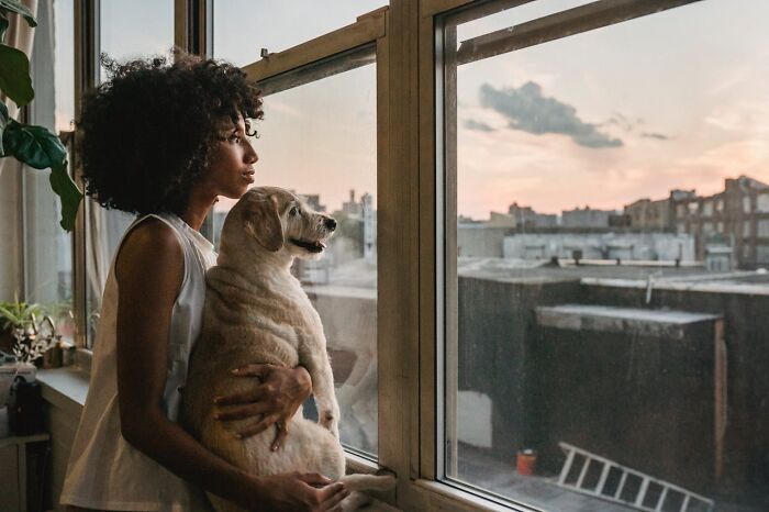 The Internet Loves Dogs, But Here Are 38 Downsides Of Having One As A Pet