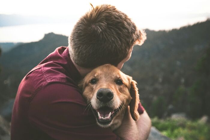 The Internet Loves Dogs, But Here Are 38 Downsides Of Having One As A Pet