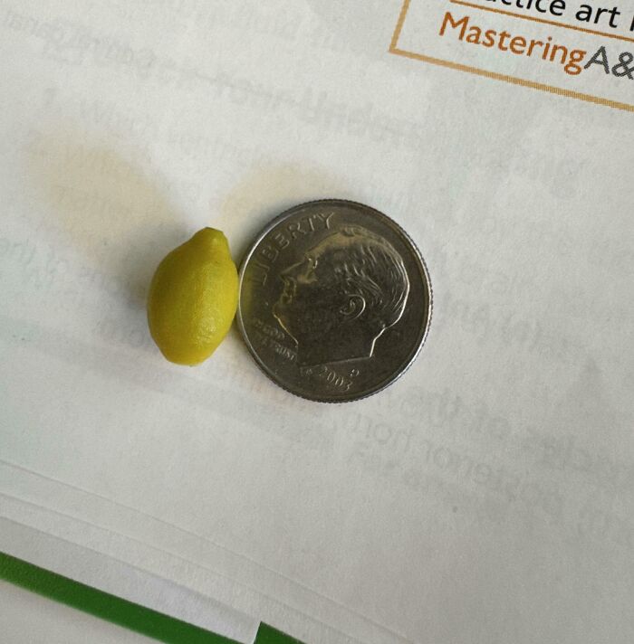 52 Hilarious Harvesting Pics That Prove Size Actually Does Matter (New Pics)