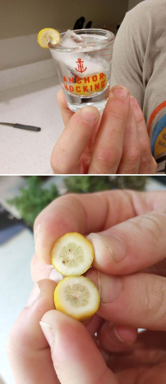 52 Hilarious Harvesting Pics That Prove Size Actually Does Matter (New Pics)