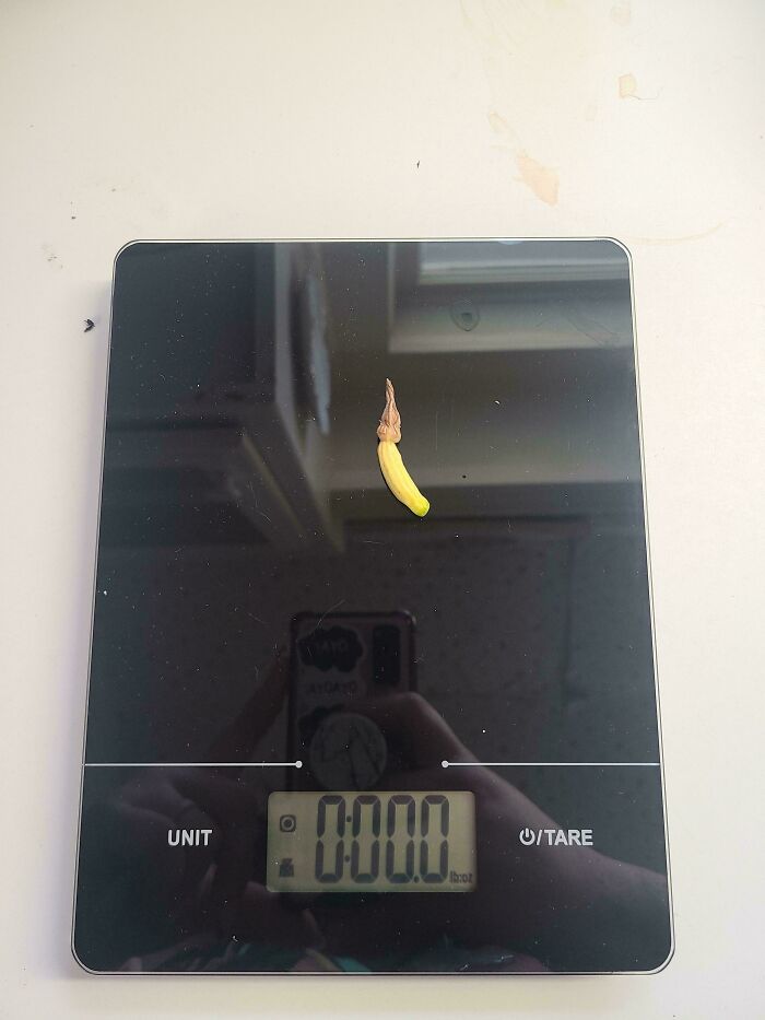 52 Hilarious Harvesting Pics That Prove Size Actually Does Matter (New Pics)