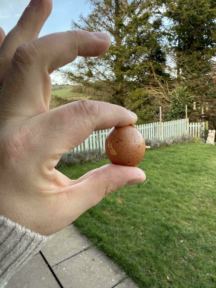 52 Hilarious Harvesting Pics That Prove Size Actually Does Matter (New Pics)