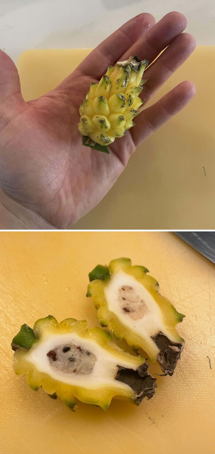 52 Hilarious Harvesting Pics That Prove Size Actually Does Matter (New Pics)