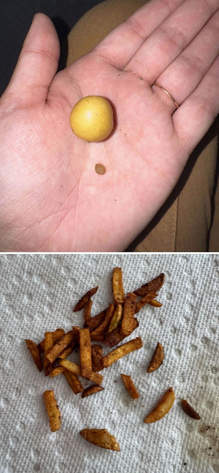 52 Hilarious Harvesting Pics That Prove Size Actually Does Matter (New Pics)