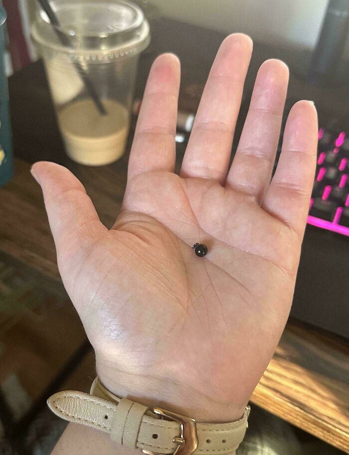 52 Hilarious Harvesting Pics That Prove Size Actually Does Matter (New Pics)