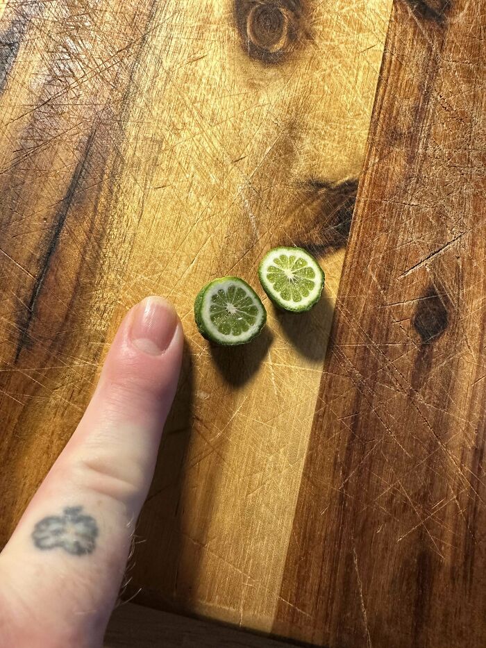 52 Hilarious Harvesting Pics That Prove Size Actually Does Matter (New Pics)