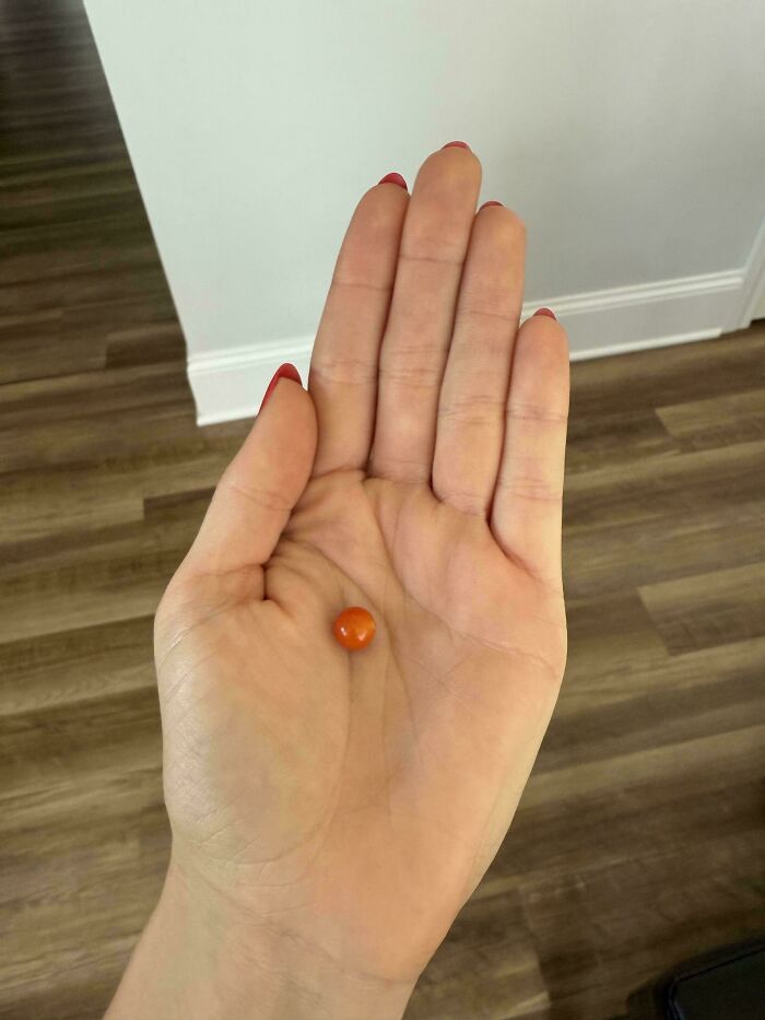 52 Hilarious Harvesting Pics That Prove Size Actually Does Matter (New Pics)