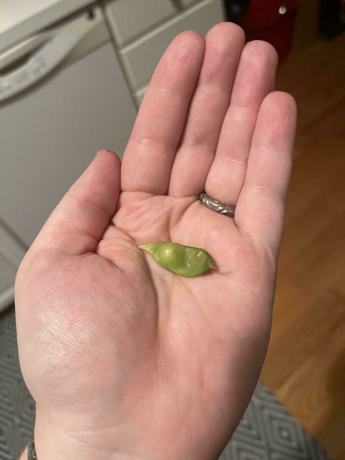 52 Hilarious Harvesting Pics That Prove Size Actually Does Matter (New Pics)