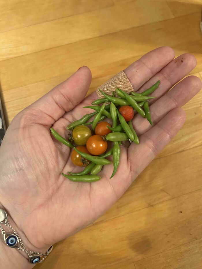 52 Hilarious Harvesting Pics That Prove Size Actually Does Matter (New Pics)