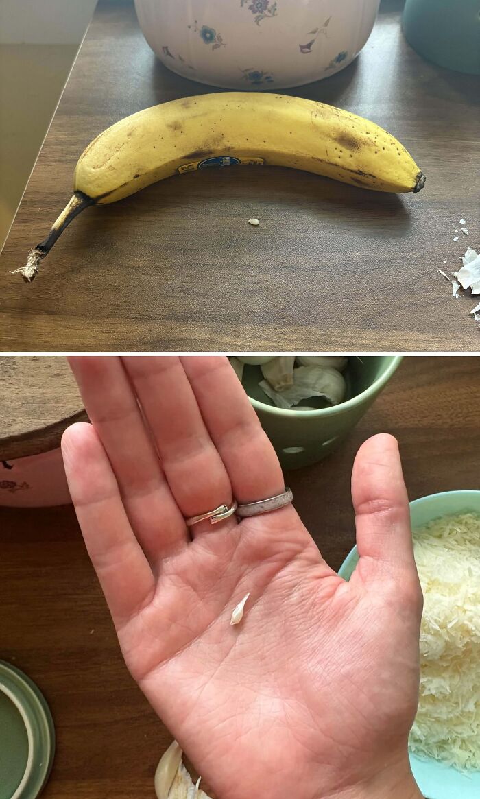 52 Hilarious Harvesting Pics That Prove Size Actually Does Matter (New Pics)