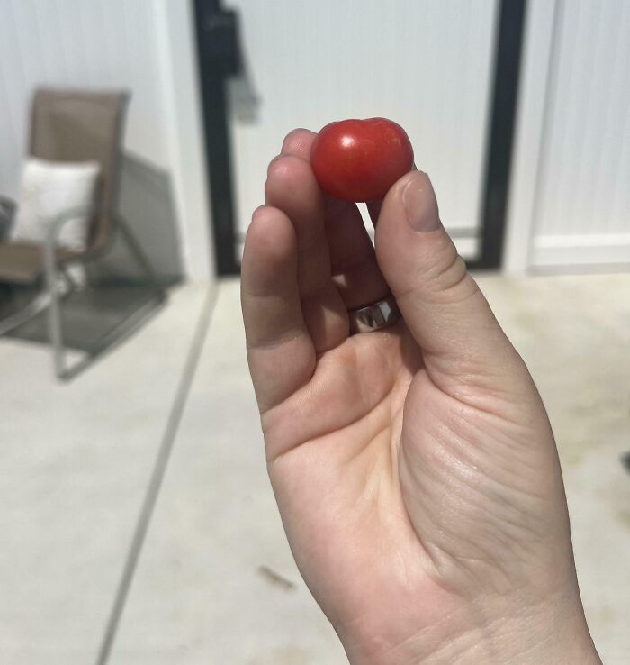 52 Hilarious Harvesting Pics That Prove Size Actually Does Matter (New Pics)