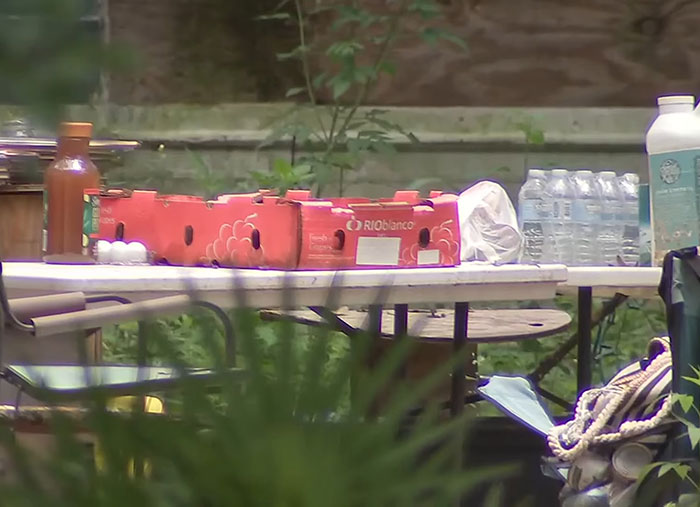 Florida Mother Abandons Her Child And Seven Dogs For Two Weeks To Go To Las Vegas On Vacation