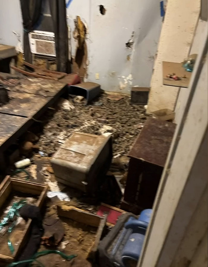 Florida Mother Abandons Her Child And Seven Dogs For Two Weeks To Go To Las Vegas On Vacation