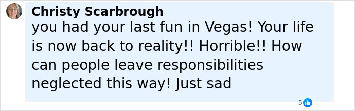 Florida Mother Abandons Her Child And Seven Dogs For Two Weeks To Go To Las Vegas On Vacation