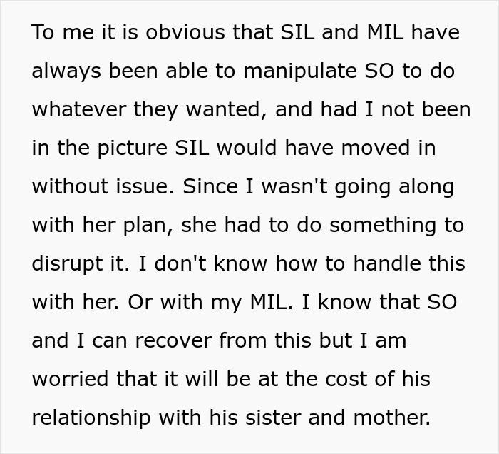 Woman Can&#8217;t Believe SIL Would Frame Her To Turn Her Bro Against Her, Folks Are Also Horrified