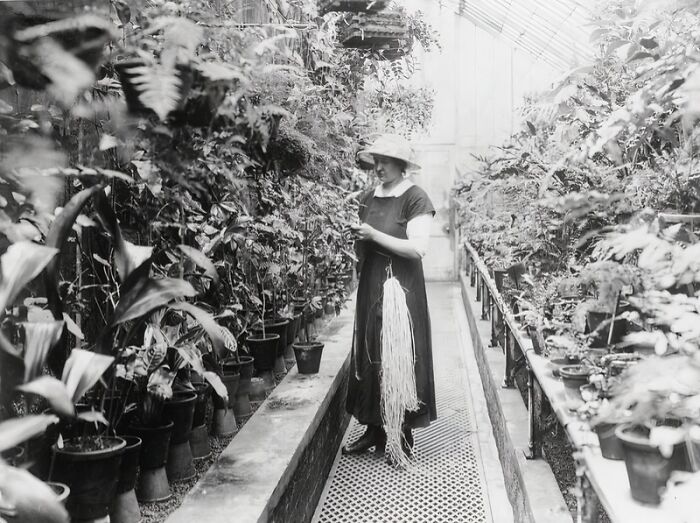 30 Pictures That Show How Women Changed Everything During WWI