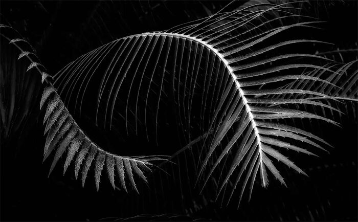 All About Photo Magazine Awards 2025: Here Are 25 Of The Most Beautiful Black And White Photographs