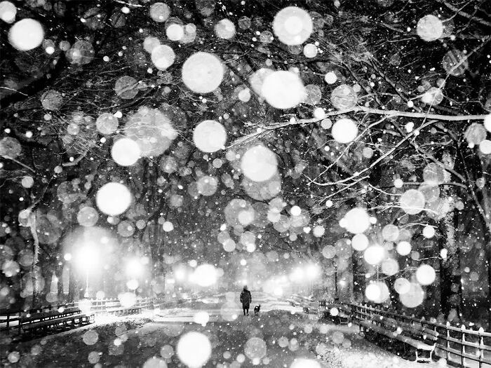 All About Photo Magazine Awards 2025: Here Are 25 Of The Most Beautiful Black And White Photographs