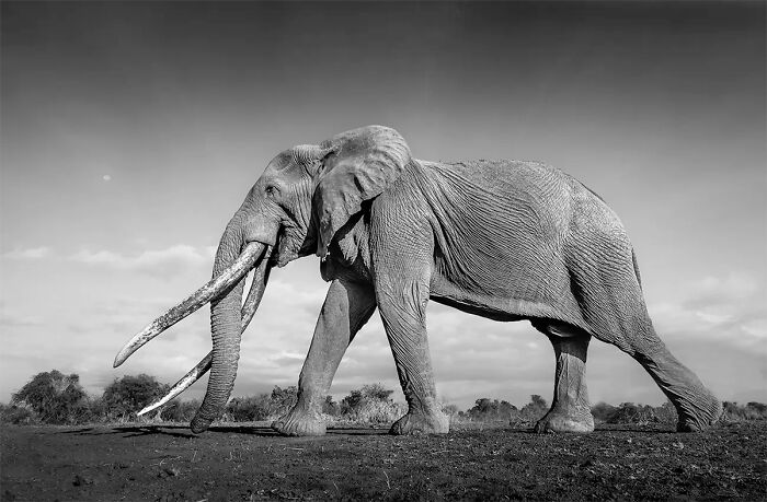 All About Photo Magazine Awards 2025: Here Are 25 Of The Most Beautiful Black And White Photographs