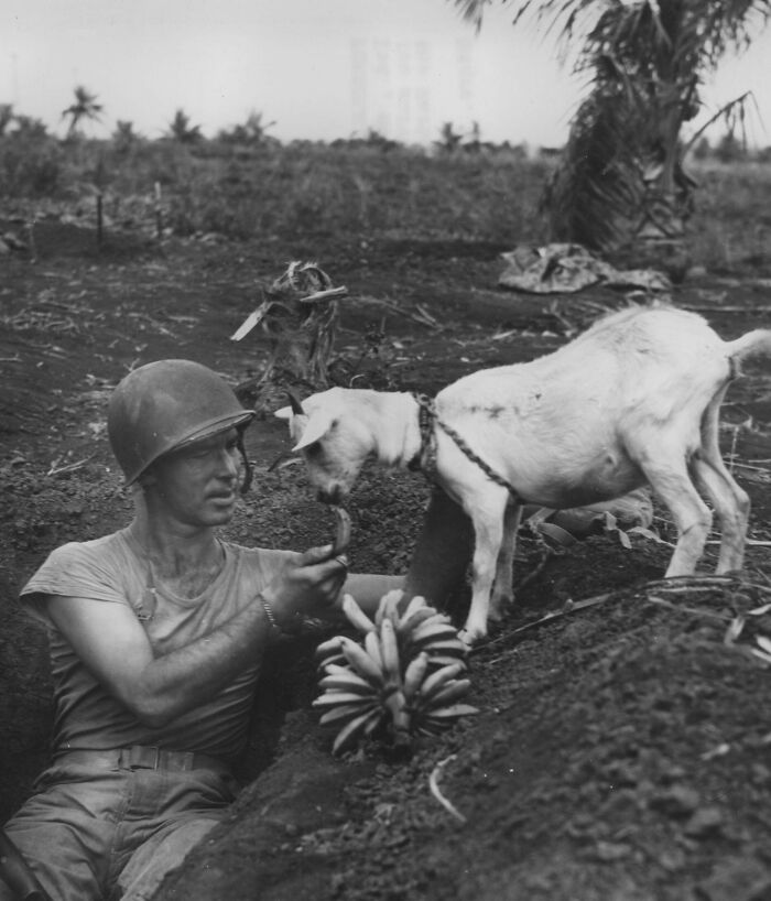 These 31 Somber Photos From History Each Tell A Gut-Wrenching Story