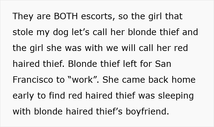 Lady Loses It When Stranger &#8220;Finds&#8221; Her Husky And Refuses To Return It, Gets Epic Revenge