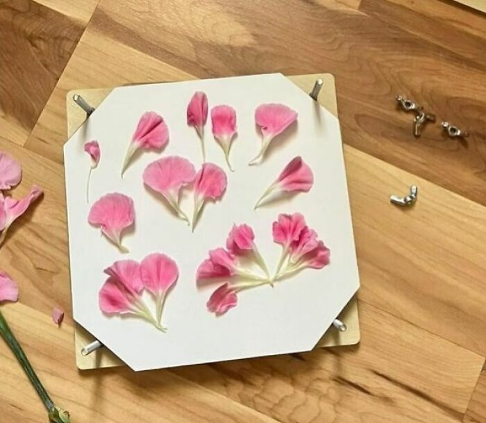 22 New Hobbies That Are Way More Fulfilling Than Doomscrolling