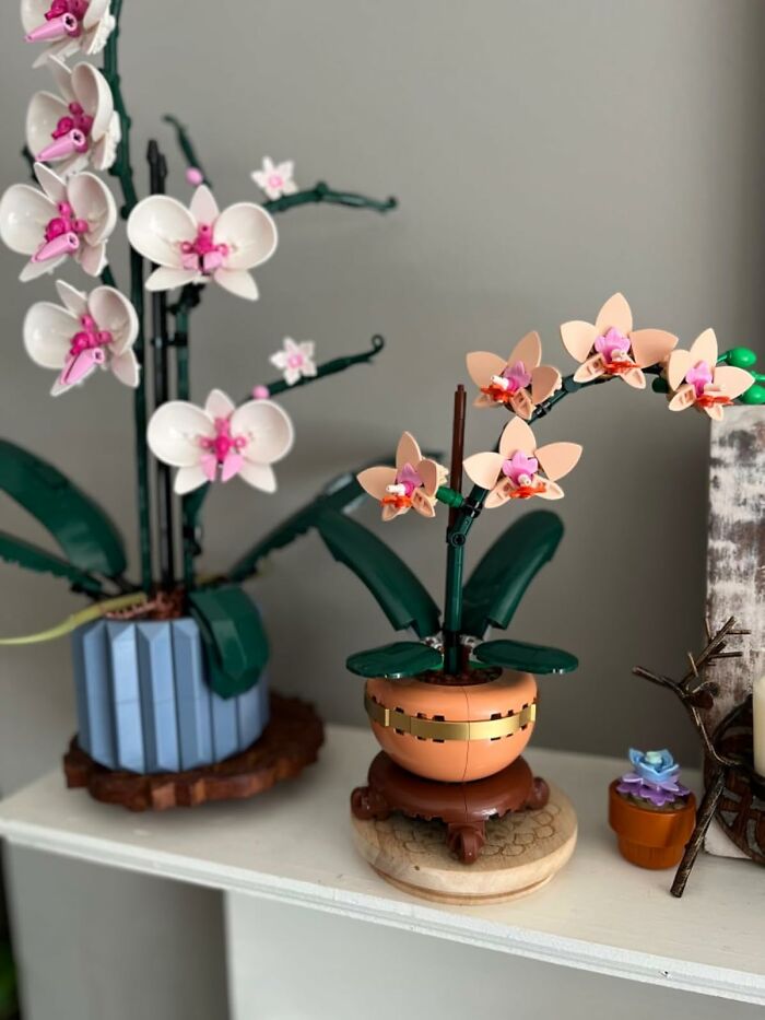 22 New Hobbies That Are Way More Fulfilling Than Doomscrolling