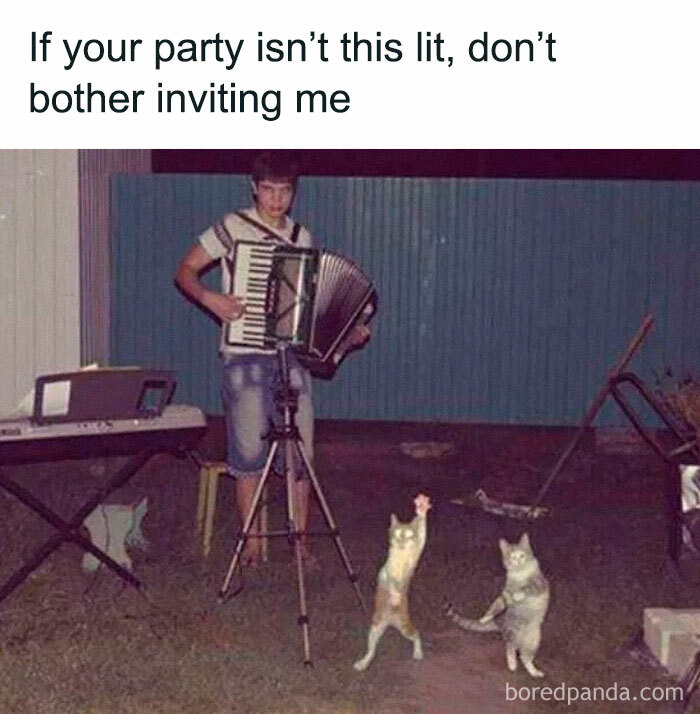 This Instagram Page Nails Antisocial Humor, Here Are 90 Of Their Best Memes