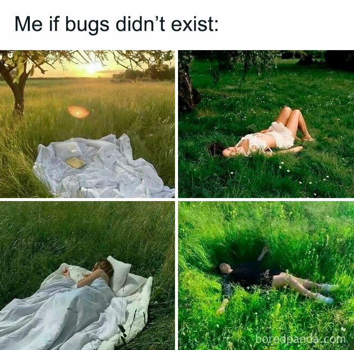 This Instagram Page Nails Antisocial Humor, Here Are 90 Of Their Best Memes