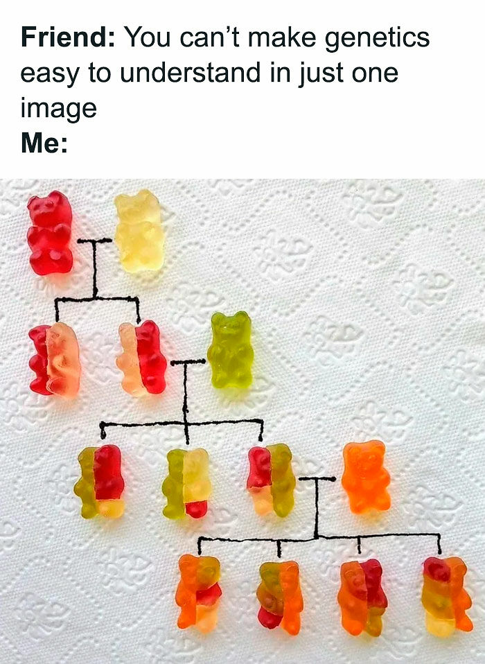 This Instagram Page Nails Antisocial Humor, Here Are 90 Of Their Best Memes