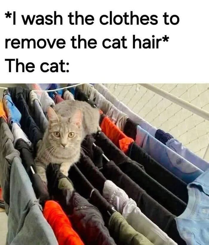 This Instagram Page Nails Antisocial Humor, Here Are 90 Of Their Best Memes