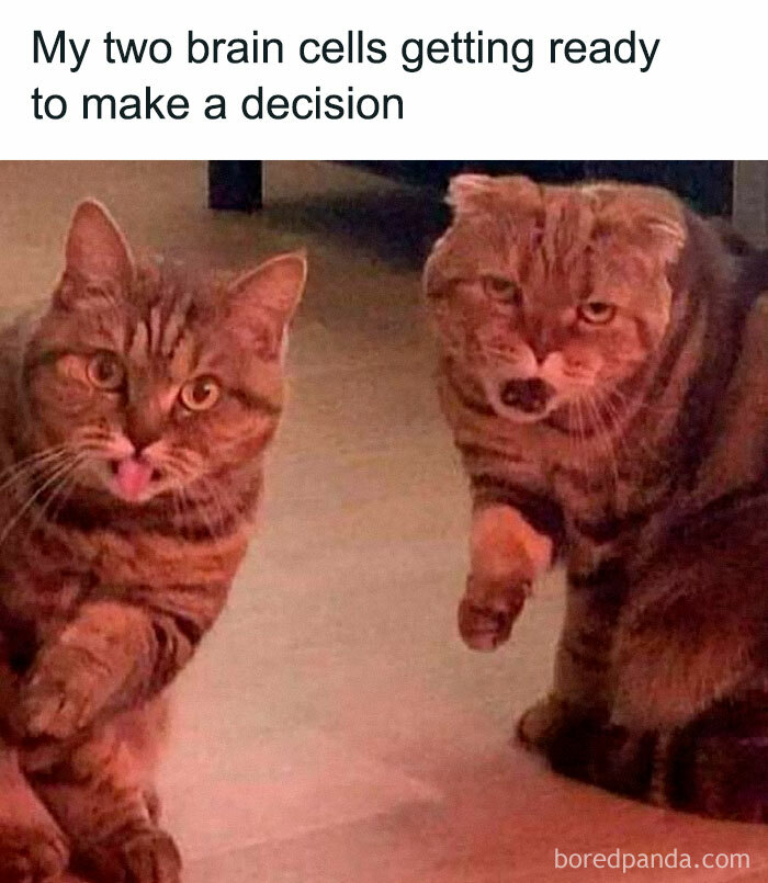 This Instagram Page Nails Antisocial Humor, Here Are 90 Of Their Best Memes