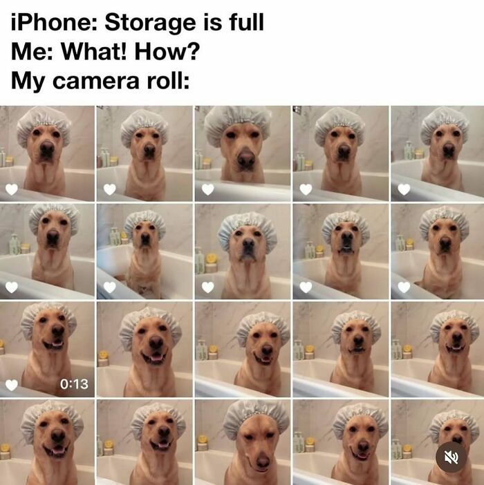 This Instagram Page Nails Antisocial Humor, Here Are 90 Of Their Best Memes