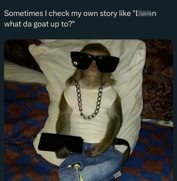 This Instagram Page Nails Antisocial Humor, Here Are 90 Of Their Best Memes