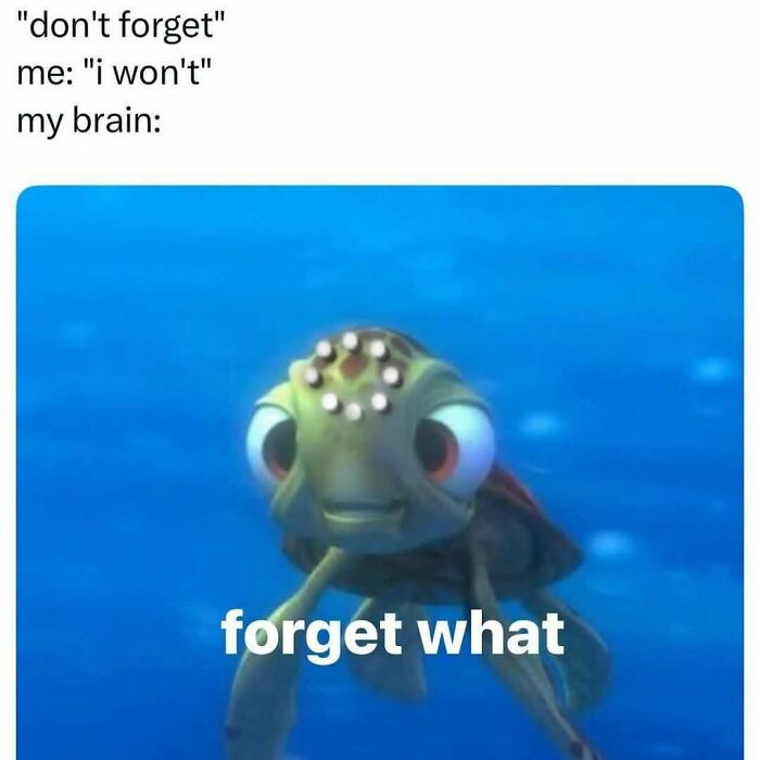 This Instagram Page Nails Antisocial Humor, Here Are 90 Of Their Best Memes