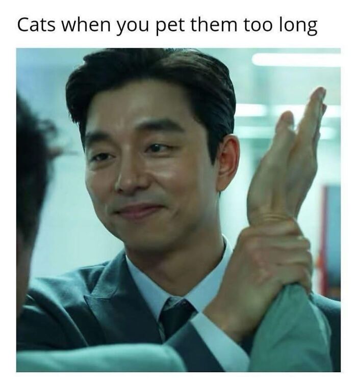 This Instagram Page Nails Antisocial Humor, Here Are 90 Of Their Best Memes