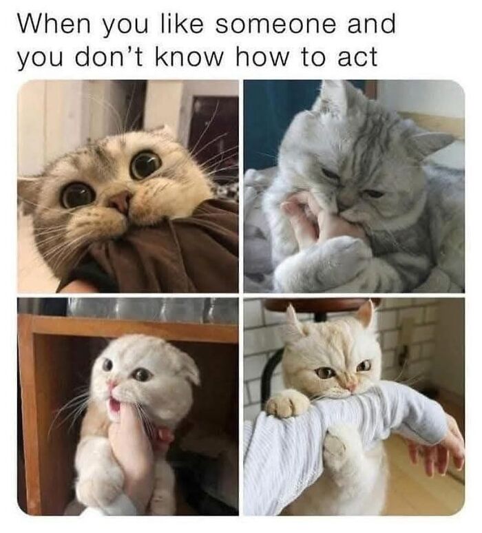 This Instagram Page Nails Antisocial Humor, Here Are 90 Of Their Best Memes