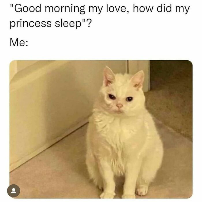 This Instagram Page Nails Antisocial Humor, Here Are 90 Of Their Best Memes