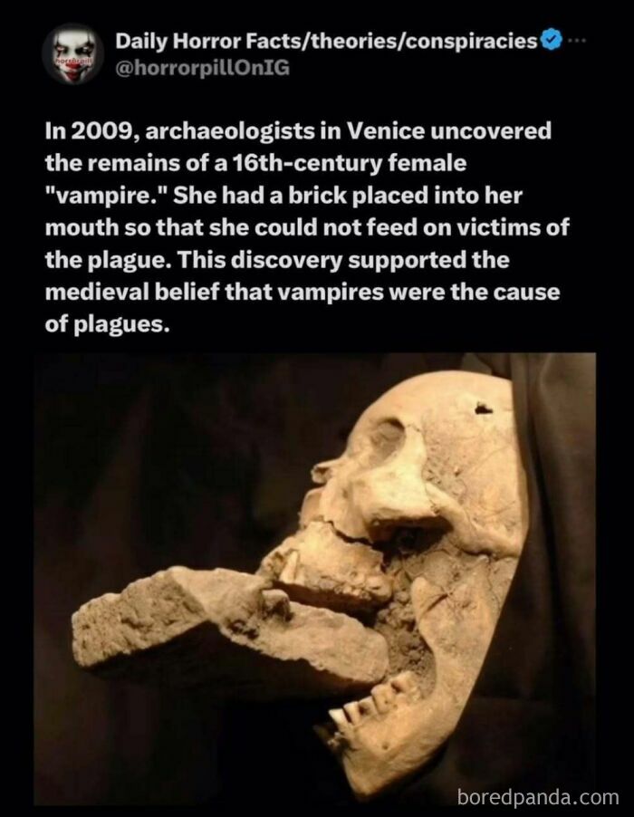 69 Terrifying Stories, Facts And Images You Don’t Want To Be Scrolling Through Before Sleep