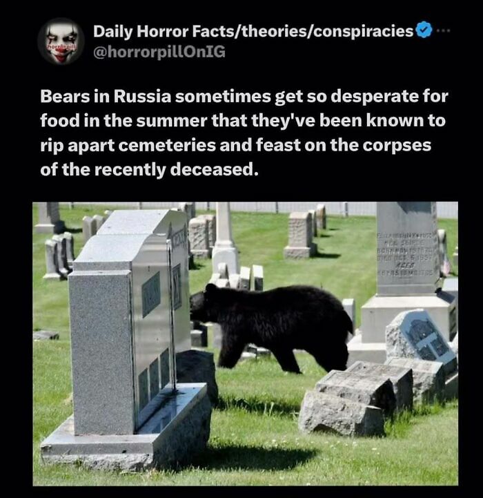69 Terrifying Stories, Facts And Images You Don’t Want To Be Scrolling Through Before Sleep
