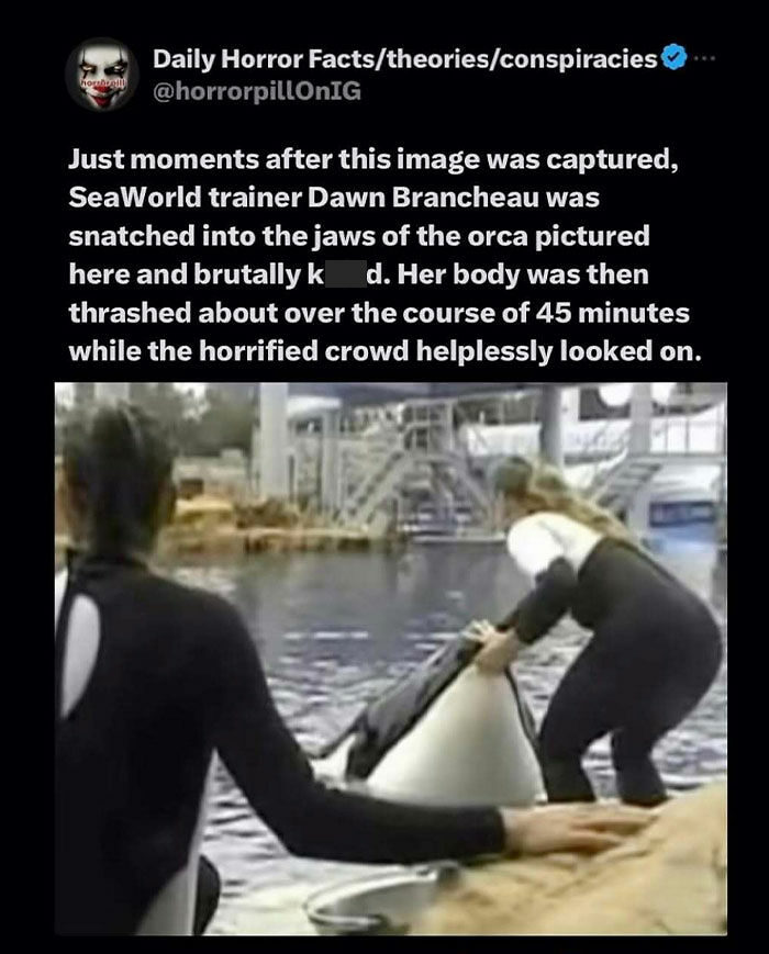 69 Terrifying Stories, Facts And Images You Don’t Want To Be Scrolling Through Before Sleep