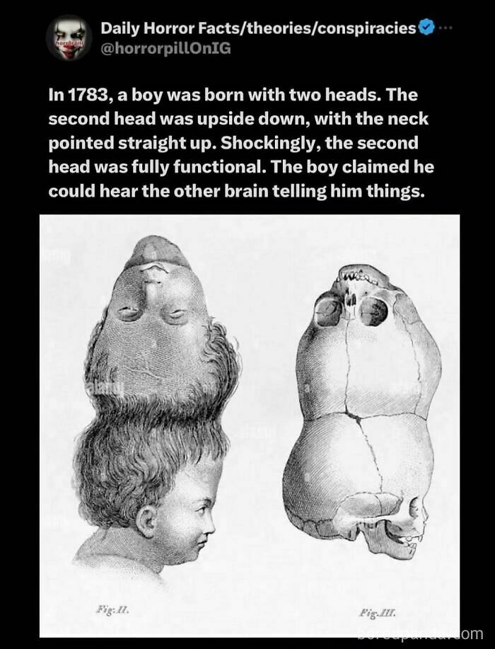 69 Terrifying Stories, Facts And Images You Don’t Want To Be Scrolling Through Before Sleep