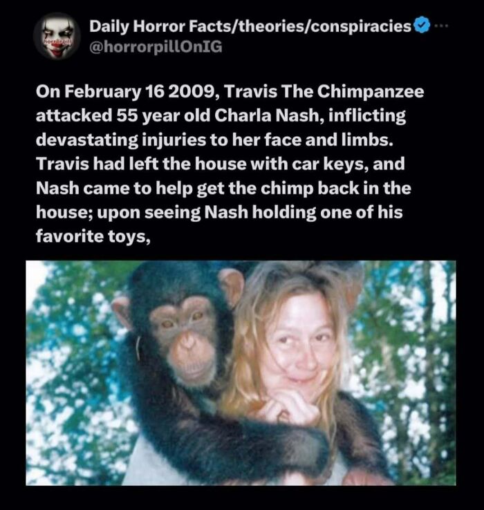 69 Terrifying Stories, Facts And Images You Don’t Want To Be Scrolling Through Before Sleep