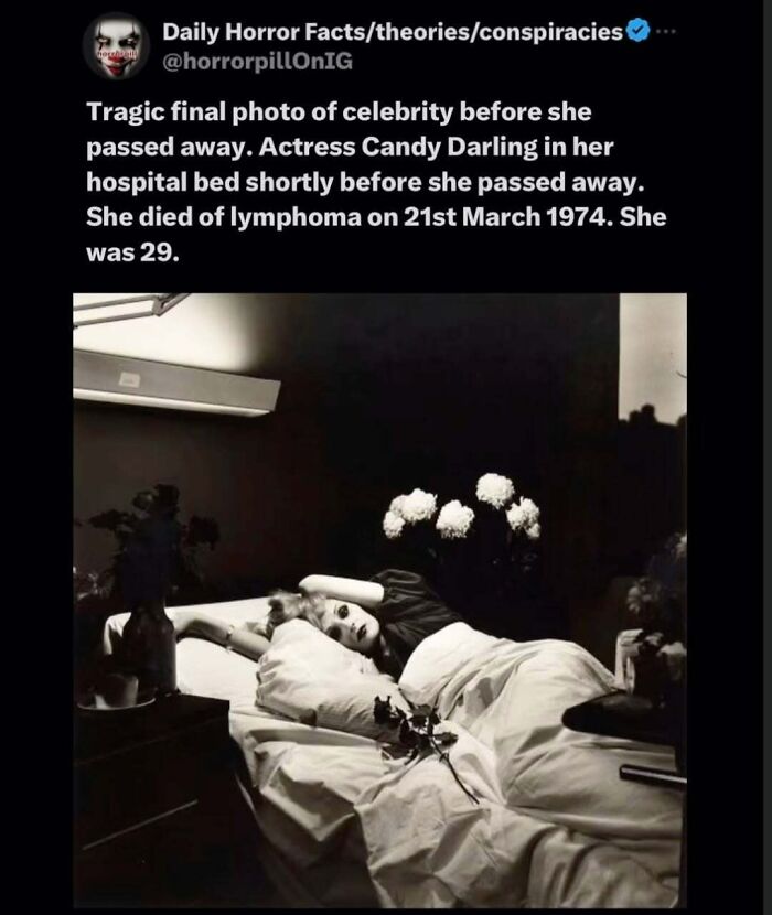 69 Terrifying Stories, Facts And Images You Don’t Want To Be Scrolling Through Before Sleep