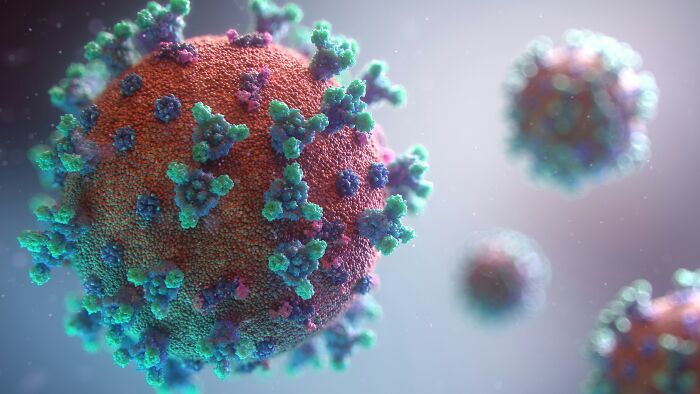 WHO Warns of Global Chikungunya Risk As China Outbreak Surges Past 10,000 And Reaches New Country