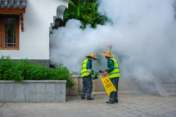 WHO Warns of Global Chikungunya Risk As China Outbreak Surges Past 10,000 And Reaches New Country