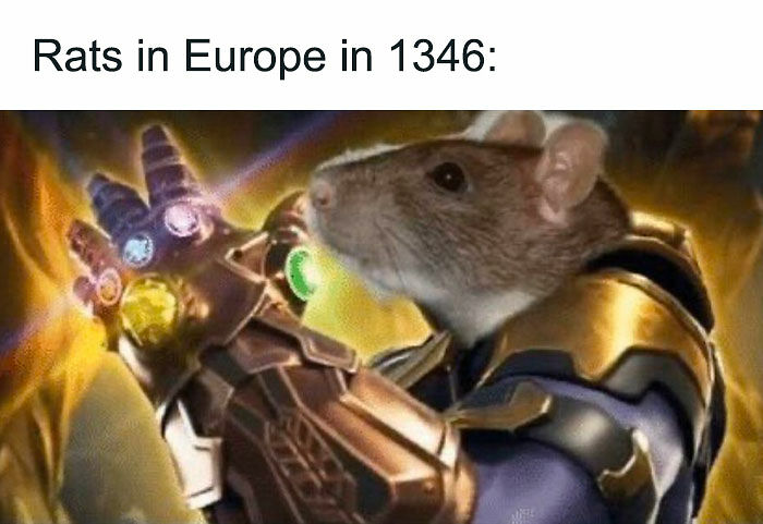 50 Of The Funniest Memes That Explain The Middle Ages In A Way That Books Probably Never Will
